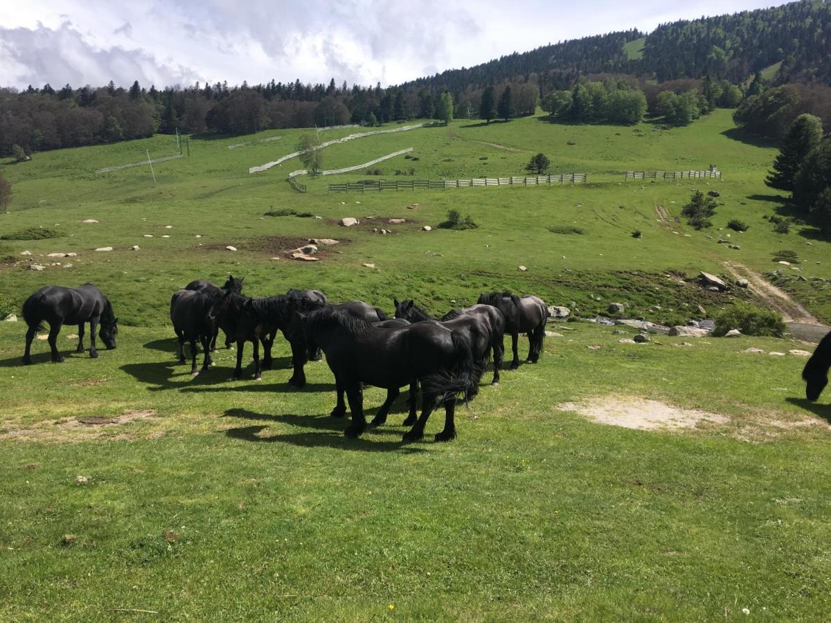 Chalet Ascou-Pailheres Zewnętrze zdjęcie